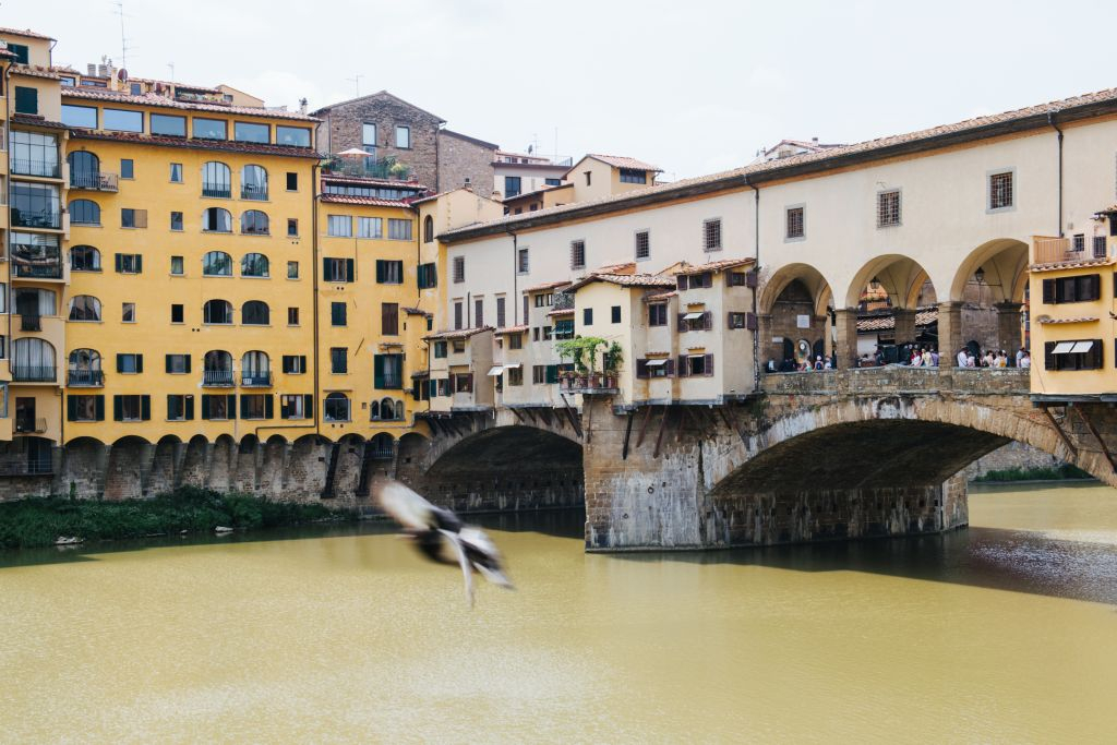 Pisa e Firenze: Gita di un giorno da Livorno