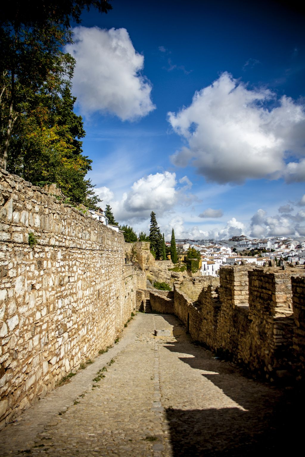 Guided Tour in Ronda 