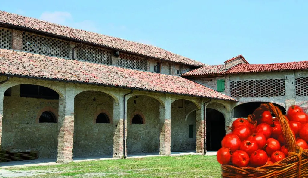 Musei del Cibo: Museo del Pomodoro
