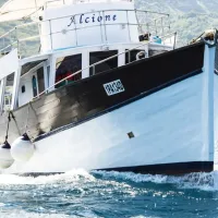 Day Cruise to Discover Ischia With Lunch