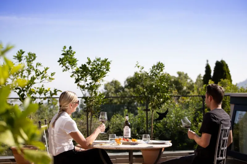 Corte Pavone Winery: Local Wine Tasting With Gourmet Appetizers
