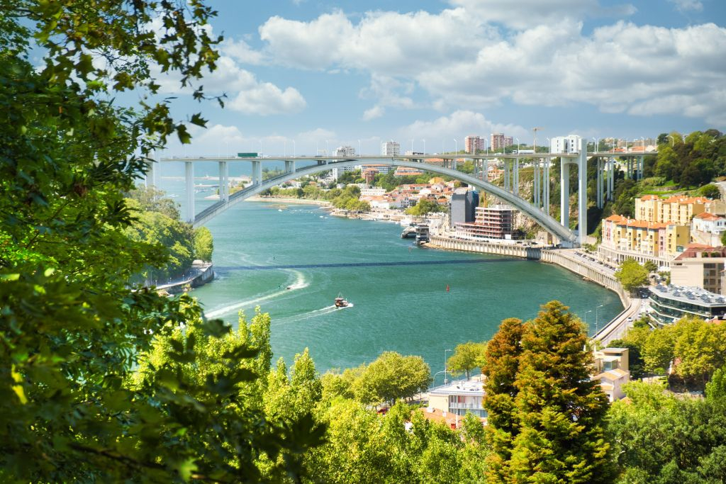 Douro River: Small-Group Walking Tour