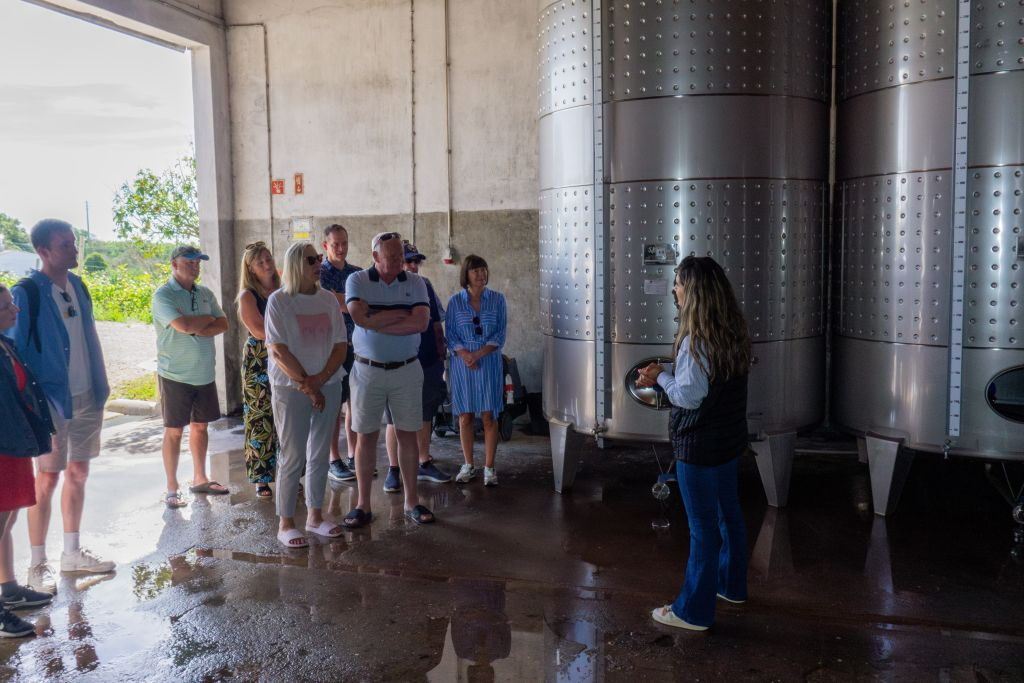 Tour del vino per piccoli gruppi ed esplorazione di Silves da Albufeira