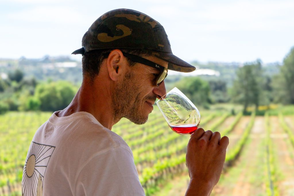 Tour del vino per piccoli gruppi ed esplorazione di Silves da Albufeira