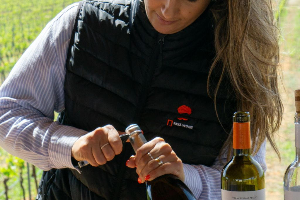 Tour del vino per piccoli gruppi ed esplorazione di Silves da Albufeira