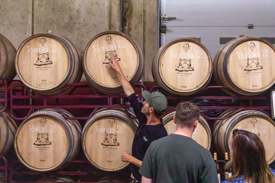 Tour del vino per piccoli gruppi ed esplorazione di Silves da Albufeira