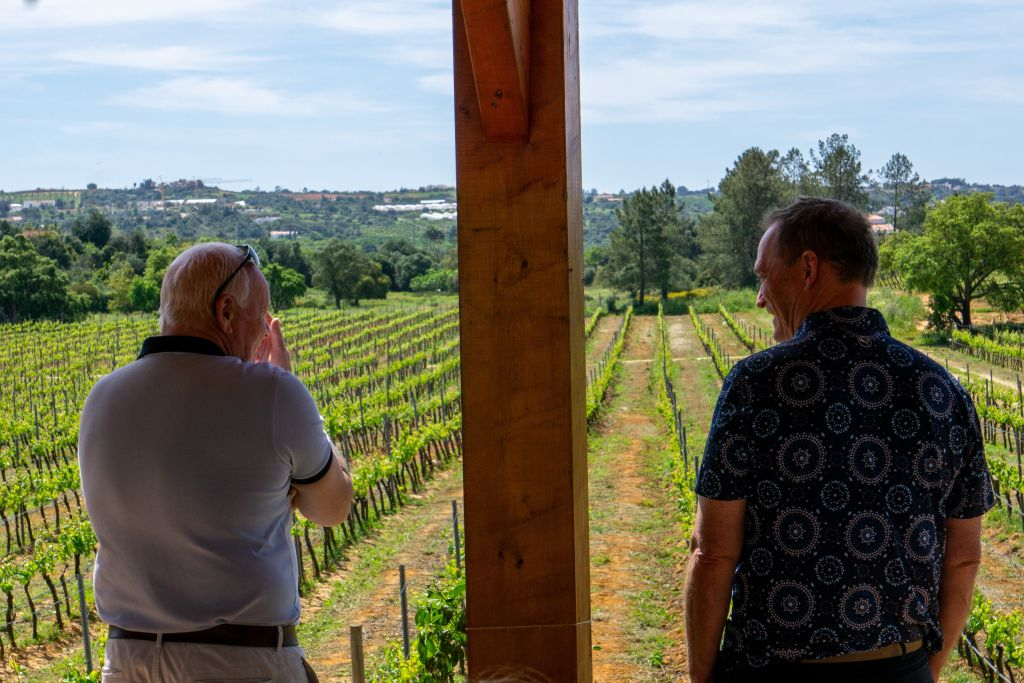 Tour del vino per piccoli gruppi ed esplorazione di Silves da Albufeira