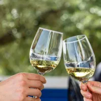 Small-Group Wine Tour and Silves Exploration from Albufeira