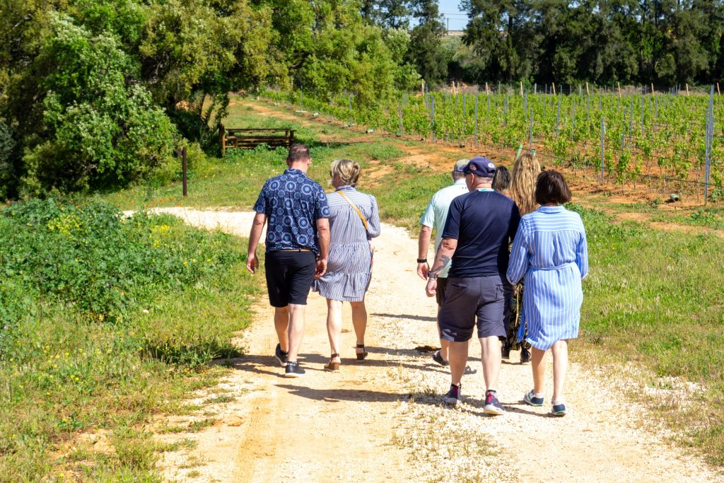 Tour del vino per piccoli gruppi ed esplorazione di Silves da Albufeira