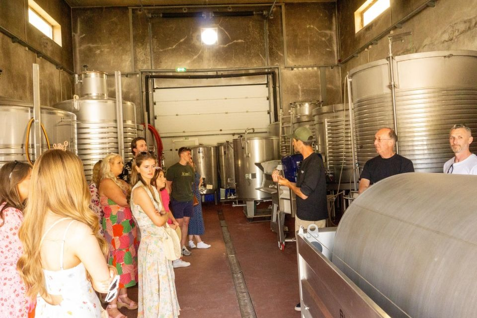 Tour del vino per piccoli gruppi ed esplorazione di Silves da Albufeira