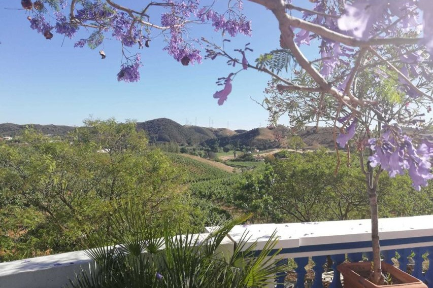 Tour del vino per piccoli gruppi ed esplorazione di Silves da Albufeira