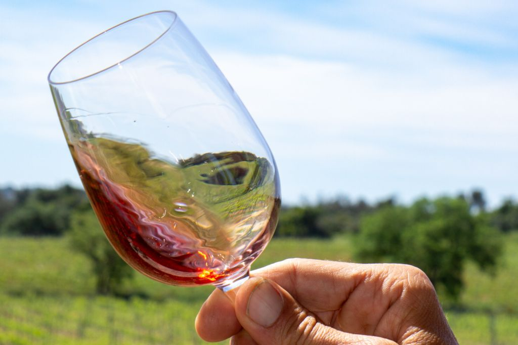 Tour del vino per piccoli gruppi ed esplorazione di Silves da Albufeira