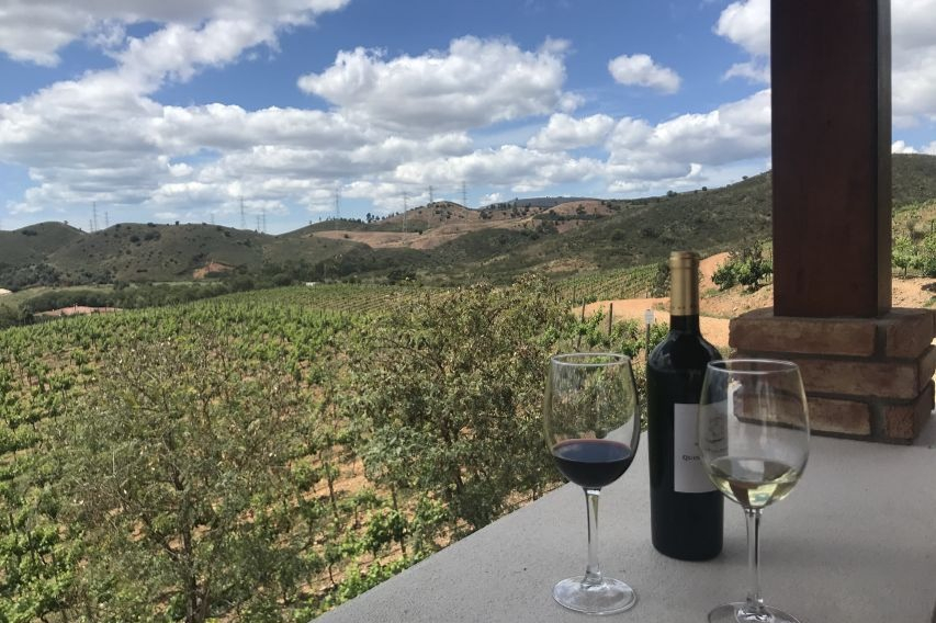 Tour del vino per piccoli gruppi ed esplorazione di Silves da Albufeira