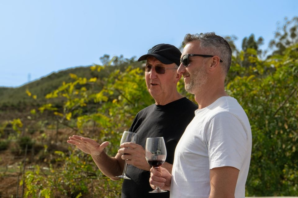Tour del vino per piccoli gruppi ed esplorazione di Silves da Albufeira