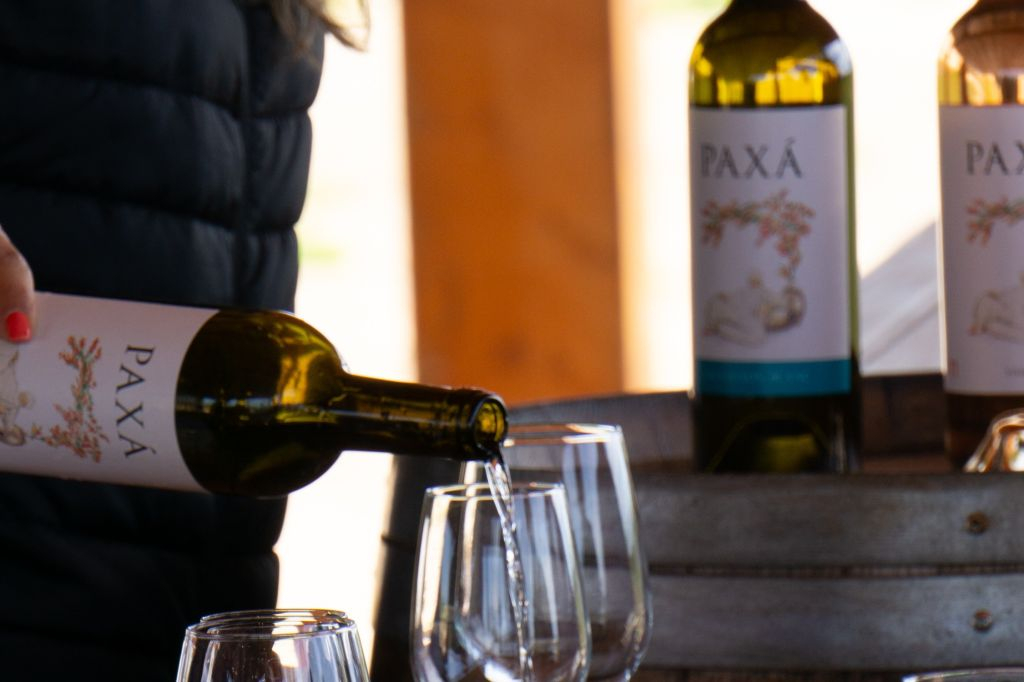 Tour del vino per piccoli gruppi ed esplorazione di Silves da Albufeira