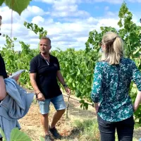 4x4 Off-Road Safari and Vineyard Wine Tasting