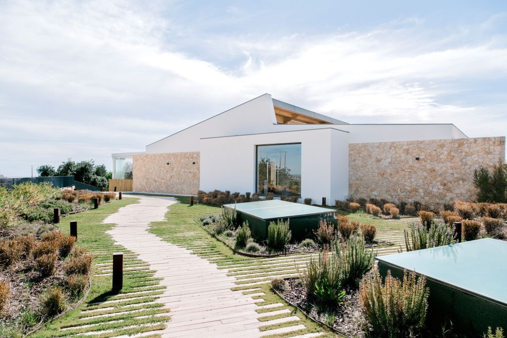 4x4 Off-Road Safari and Vineyard Wine Tasting