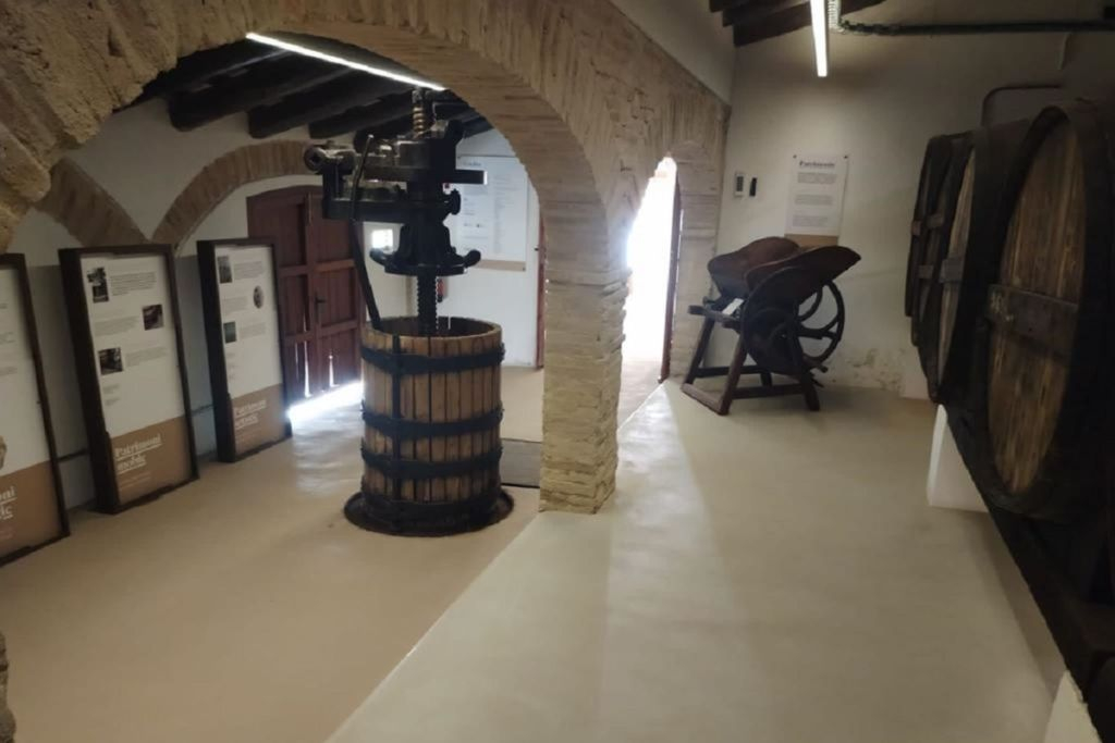 Sailboat Ride in Sitges, with Winery Visit