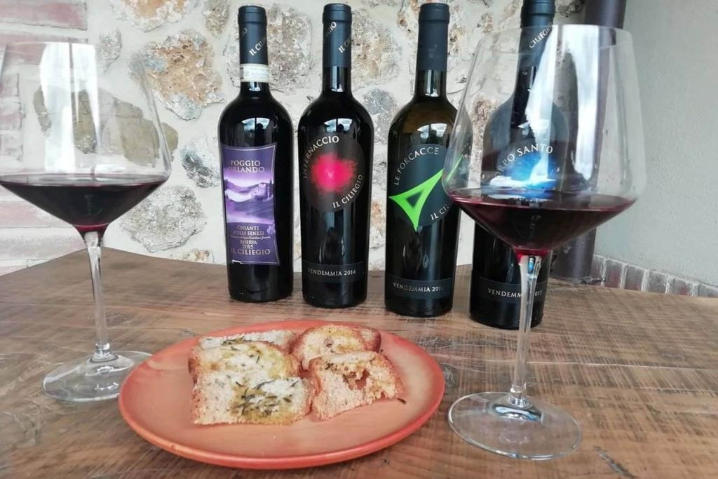 Siena e San Gimignano: viagem de um dia saindo de Florença + almoço em Chianti