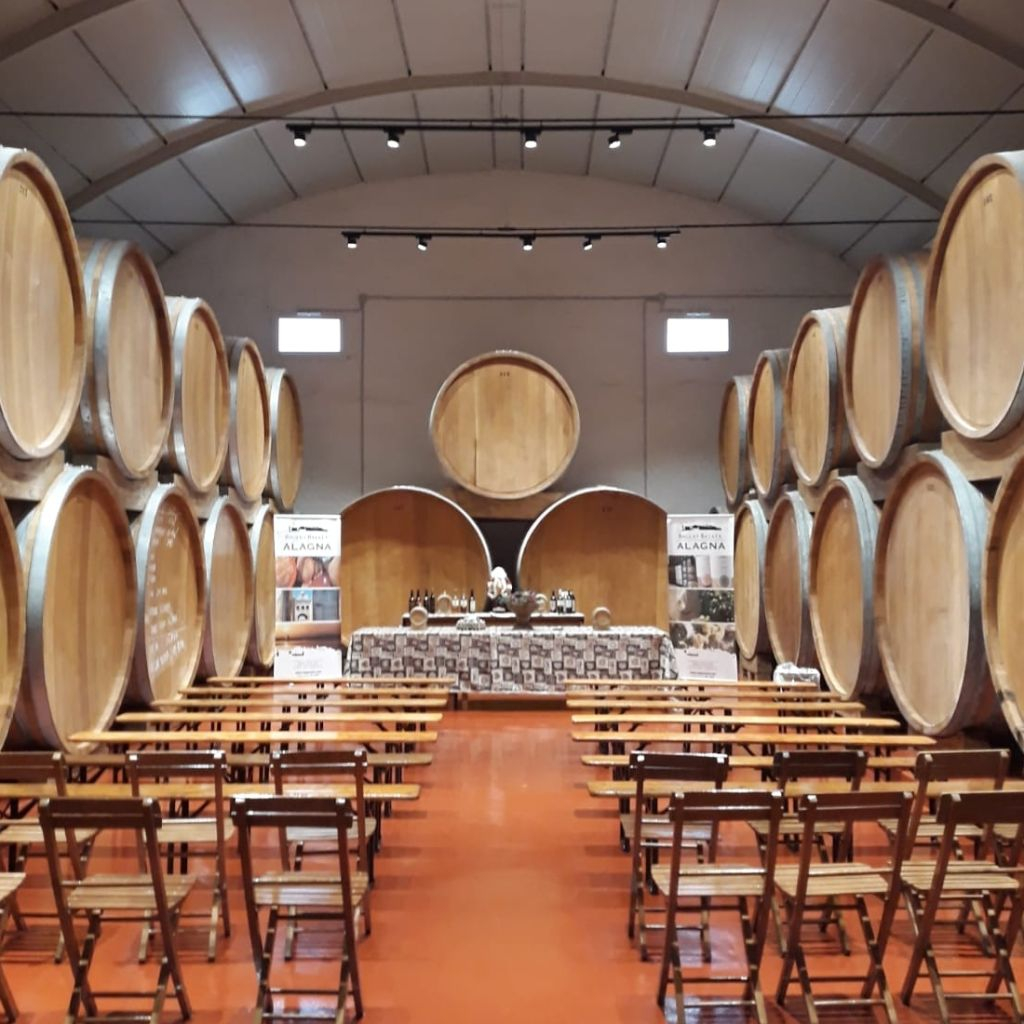 Dégustation de vins dans la cave historique d'Alagna à Marsala