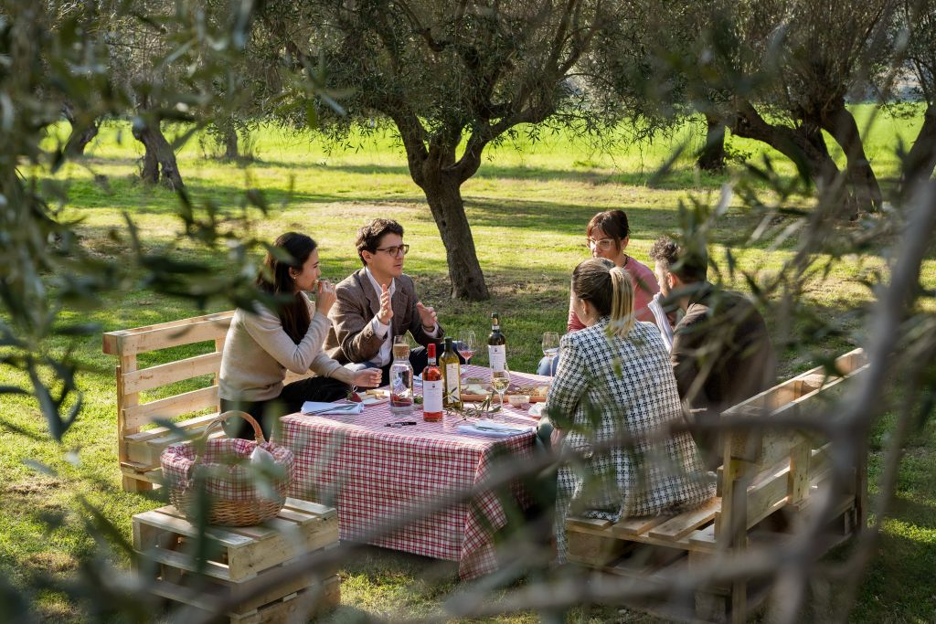 Domaine viticole Mazzarosa : Pique-nique champêtre dans l'oliveraie