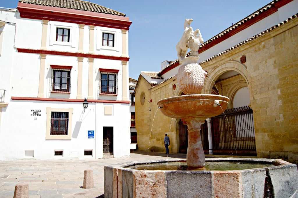 Cordoba from Seville 