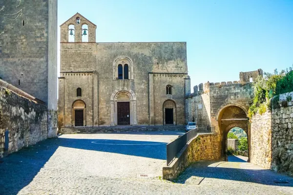 Tarquinia: Biglietto d'ingresso + Trasferimento di andata e ritorno da Civitavecchia