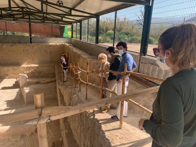 Excursión Villa Romana del Salar y Centro de Interpretación desde Granada