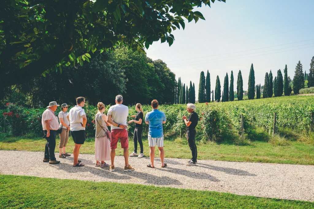 Tour di degustazione dell'Amarone da Verona