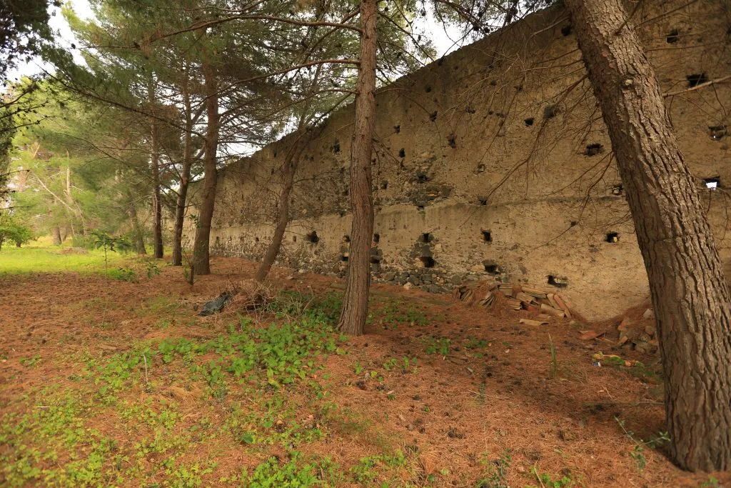Museo e Parco Archeologico di Naxos: Biglietto d'ingresso + Audioguida