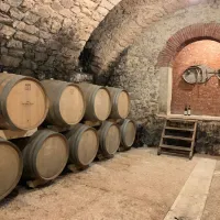 Valpolicella: Food & Olive Oil Tasting + Optional Transportation