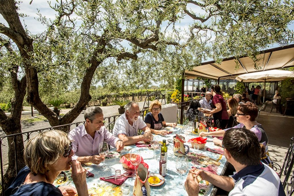 Vesuvius: Wine Tasting in a Vineyard from Naples