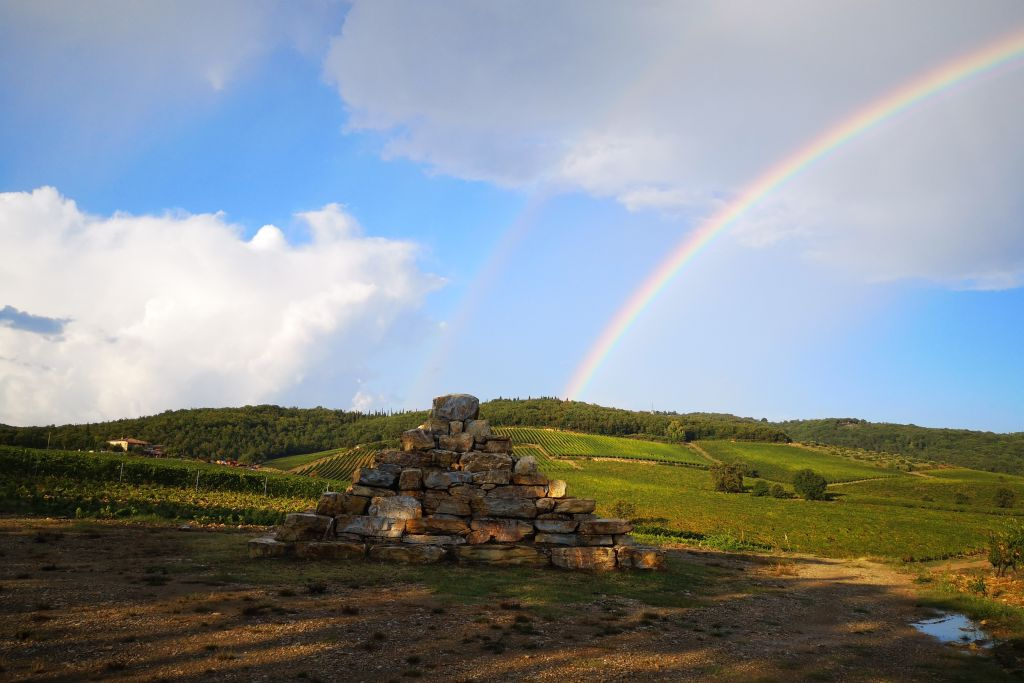 Siena: Wine Tasting + Bruschetta in Tuscan Vineyard