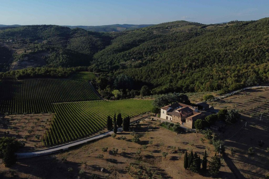 Siena: Wine Tasting + Bruschetta in Tuscan Vineyard