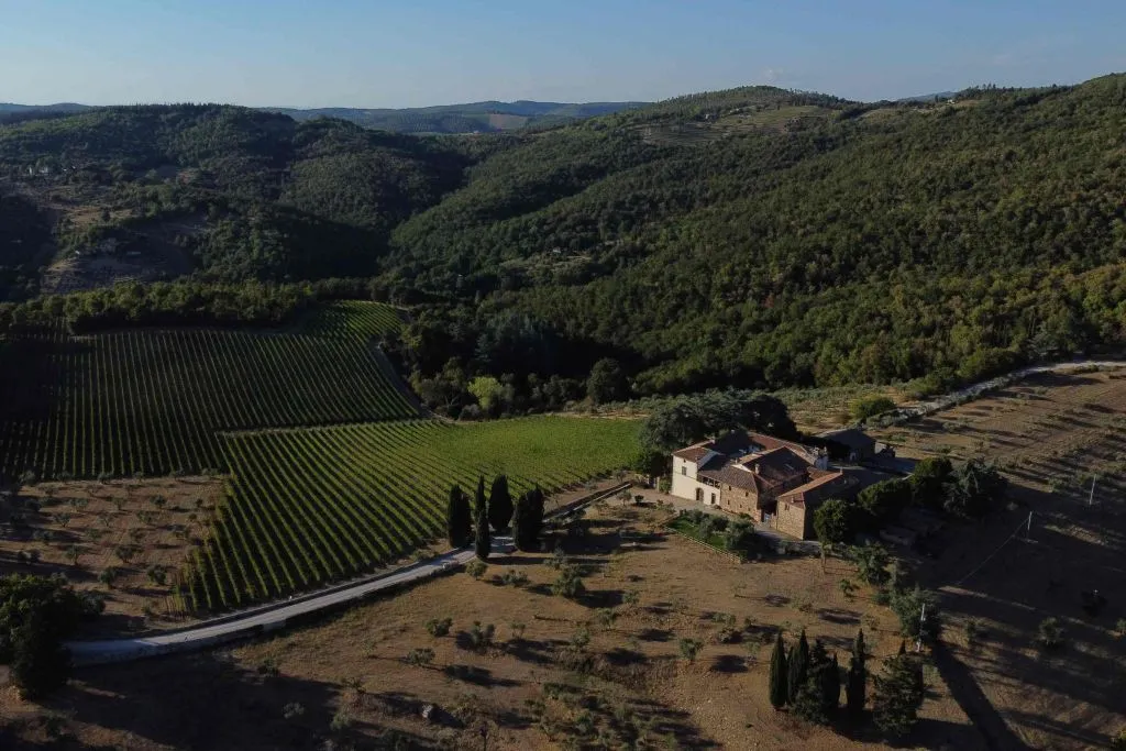 Siena: Wine Tasting + Bruschetta in Tuscan Vineyard