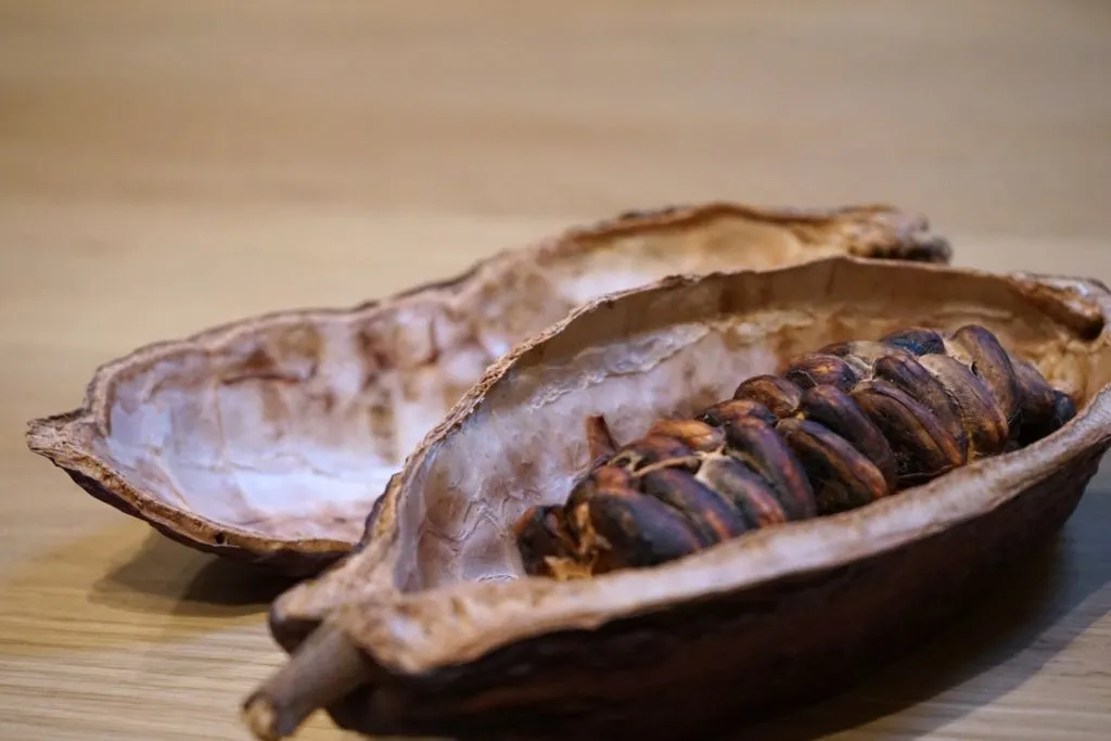 Torino: Tour gastronomico guidato con degustazione di cioccolato e vino