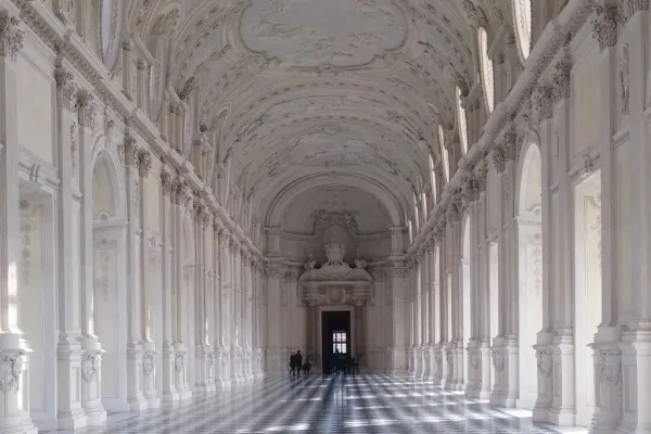 Reggia di Venaria Reale: Biglietto salta-coda + Tour guidato