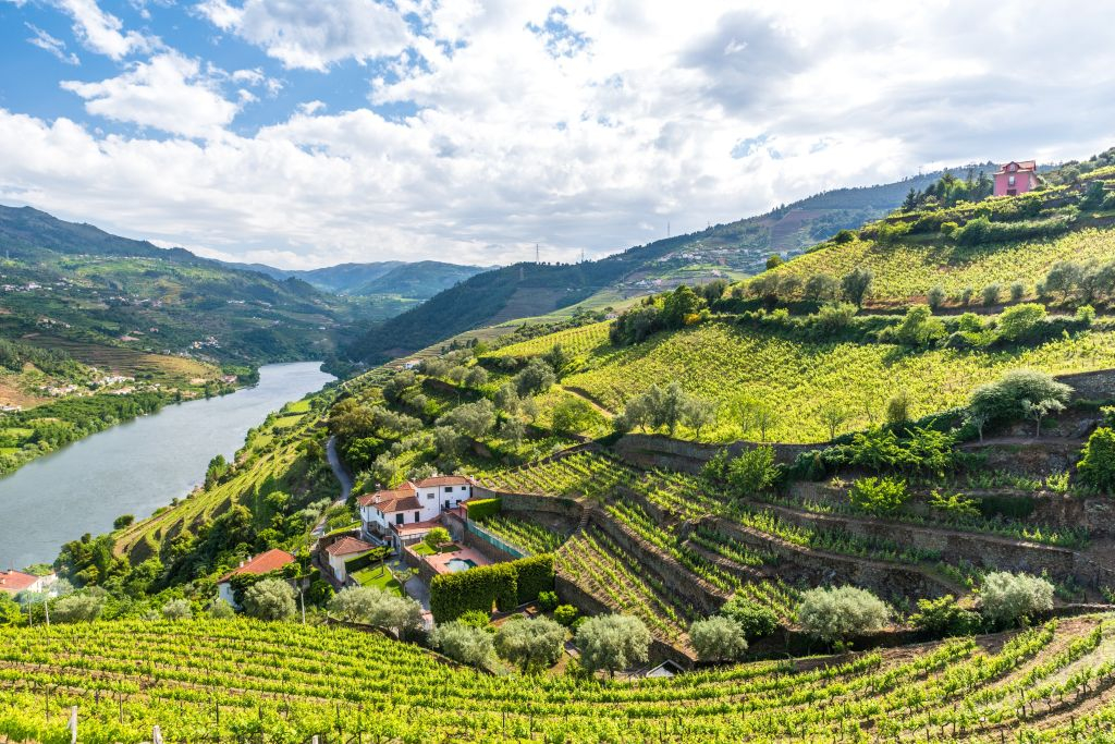 Braga, Aveiro & Douro Valley: Day Trip from Porto + Wine Tasting