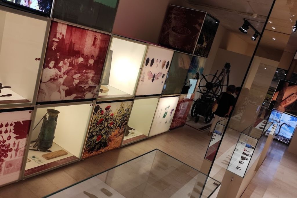 VINSEUM: Wine Culture Museum of Catalonia