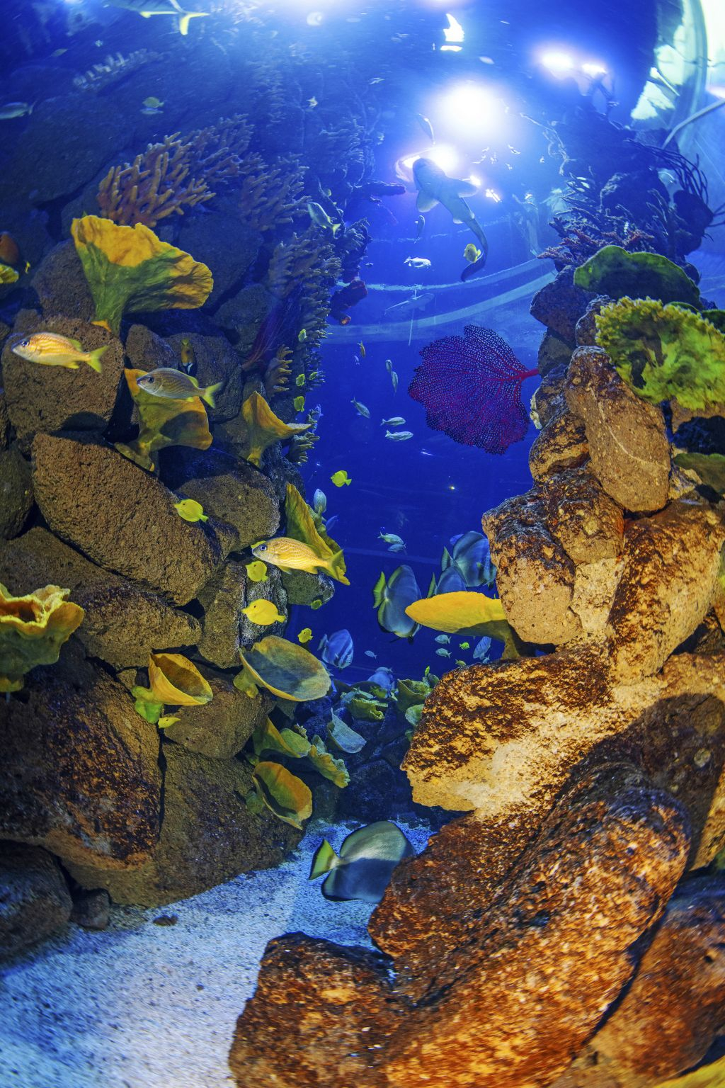 Poema do mar
