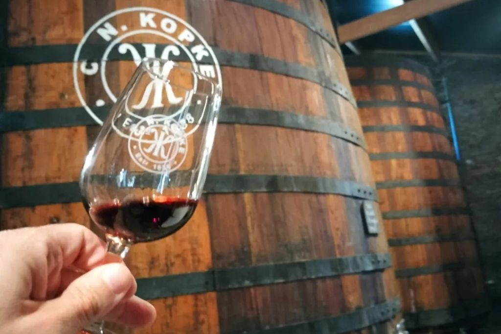 Douro Valley, Amarante & Regua: Day Trip with Wine Tasting