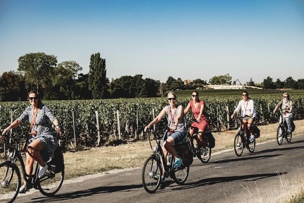 From Saint-Emilion: Half Day Saint-Emilion Electric Bike Tour