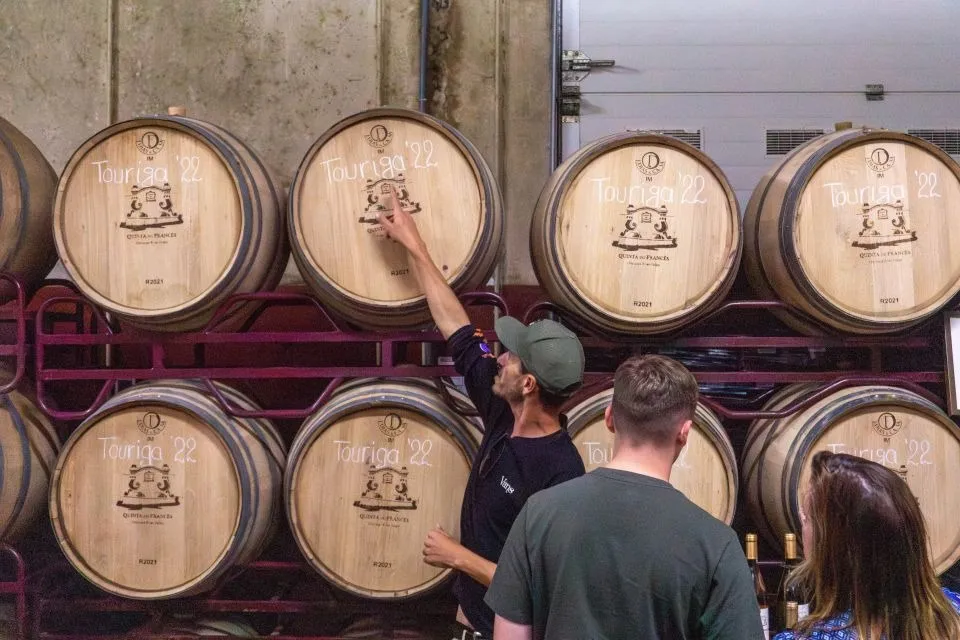 From Albufeira: Full-Day Wine Tasting Tour
