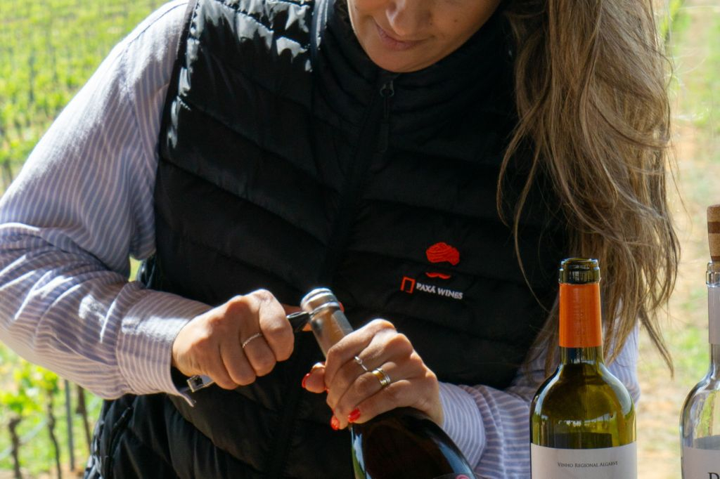 From Albufeira: Full-Day Wine Tasting Tour
