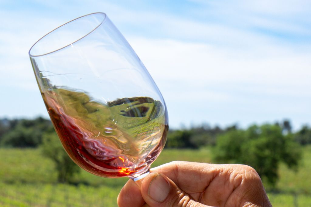 From Albufeira: Full-Day Wine Tasting Tour