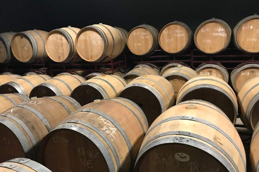 From Albufeira: Full-Day Wine Tasting Tour