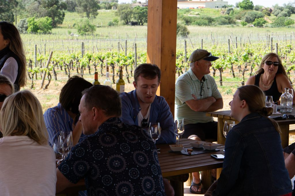 From Albufeira: Full-Day Wine Tasting Tour