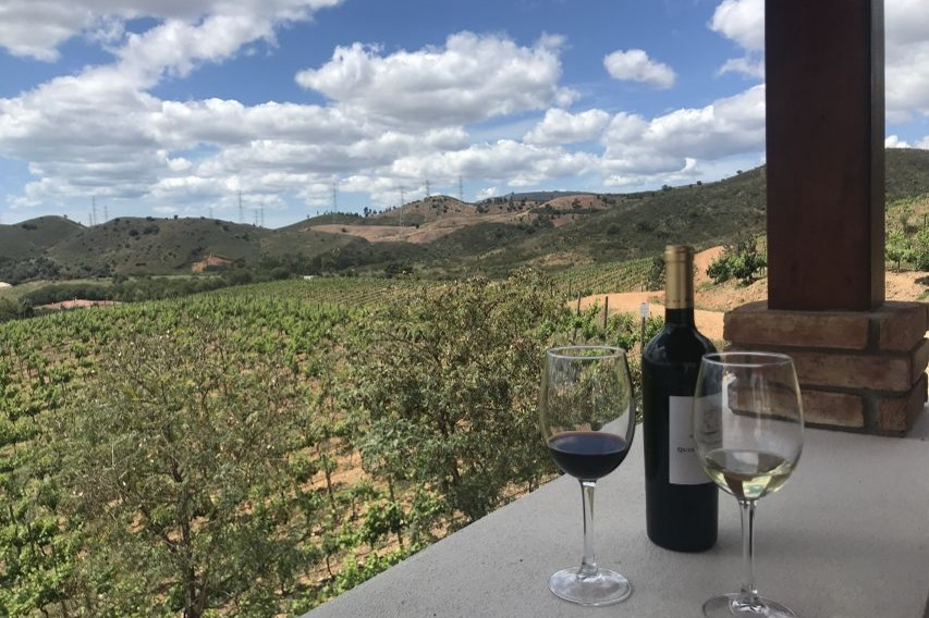 From Albufeira: Full-Day Wine Tasting Tour