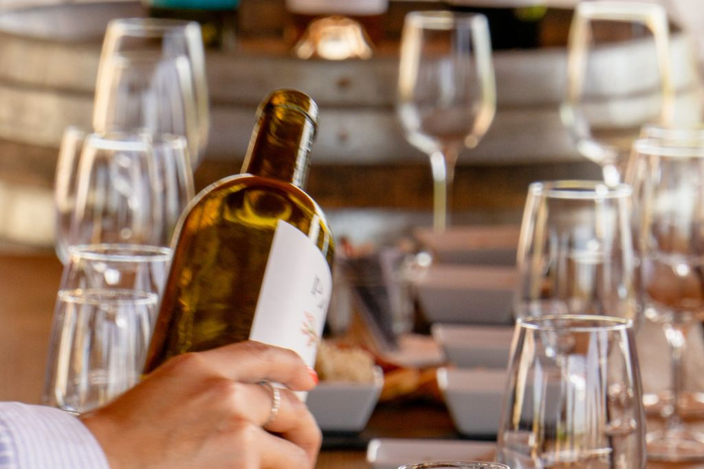 From Albufeira: Full-Day Wine Tasting Tour