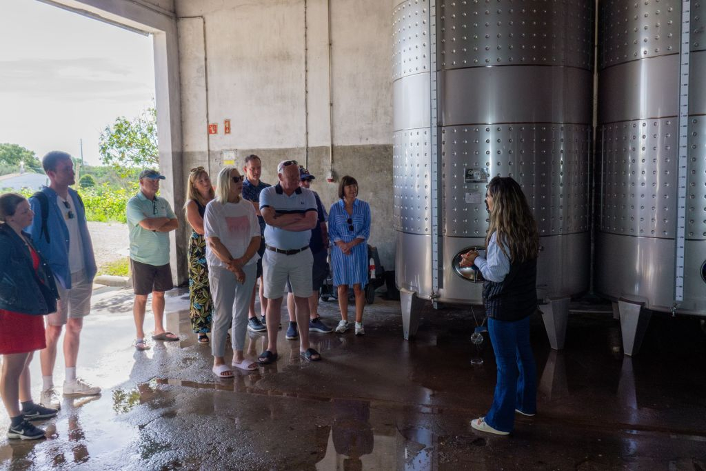 From Albufeira: Full-Day Wine Tasting Tour